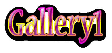 FREE GALLERY 1